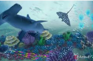 华体app官方下载入口2024最新版